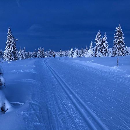 Mountain View Apartment With Sauna Nordseter ภายนอก รูปภาพ